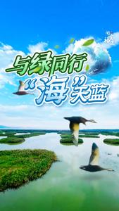 与绿同行 “海”天蓝