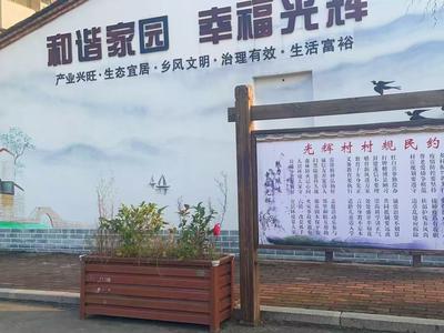 移风易俗在乡村丨村规民约领风尚 移风易俗促文明