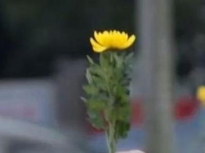 网络中国节·清明丨2025清明祭英烈缅怀纪念活动在福州举行
