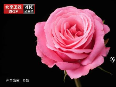 3月28日，北京卫视4K超高清频道震撼亮相