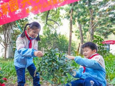 种一抹新绿 为榕城充“植”
