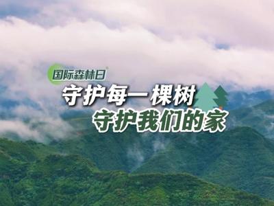 国际森林日｜“绿肺”，是生命的摇篮，更是我们共同守护的家园。