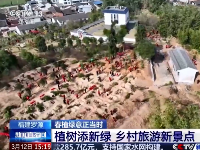央视关注罗源：植树添新绿 乡村旅游新景点