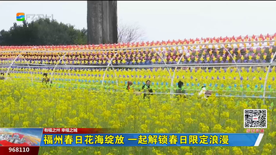 福州春日花海绽放 一起解锁春日限定浪漫