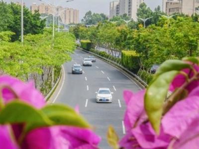 最新通知：免费！不调休！