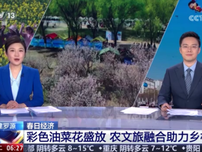 央视关注罗源：彩色油菜花盛放 农文旅融合助力乡村振兴