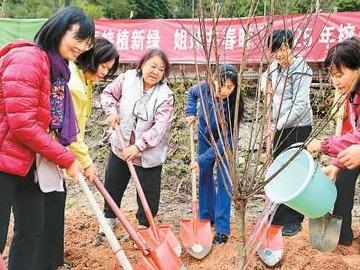 人民日报海外版关注：闽台姐妹共植“巾帼林”