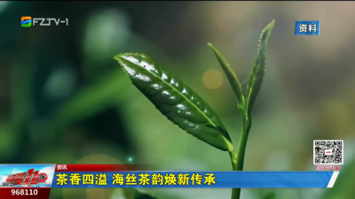 茶香四溢 海丝茶韵焕新传承