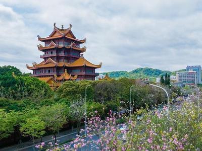 福州春景上新，畅游线路请收好！