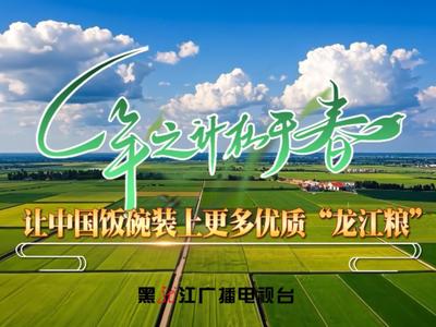 一年之际在于春丨让中国饭碗装上更多优质“龙江粮”