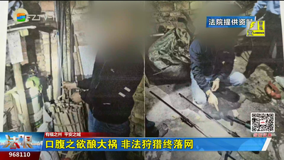 口腹之欲酿大祸 非法狩猎终落网
