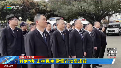 利剑“执”击护民生 雷霆行动显成效