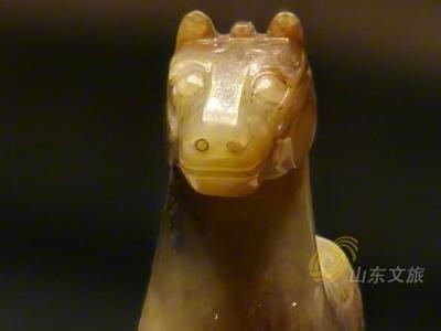 来孔子博物馆探秘流量密“马”