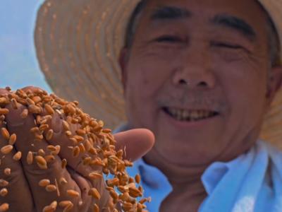 ​北京大学孙熙国教授谈“守正”