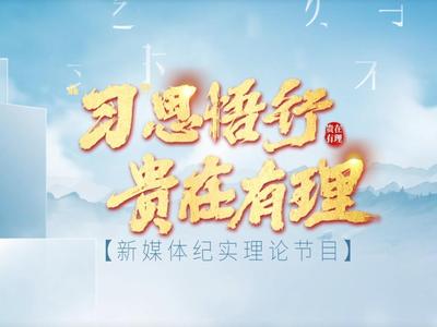 “习”思悟行·贵在有理丨“数字引擎”激发乡村振兴活力