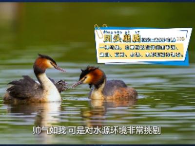 乌梁素海有了大变化