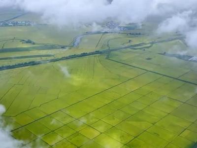 让我们一起守牢18亿亩耕地红线，端牢中国饭碗！