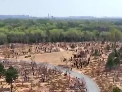 习近平在参加首都义务植树活动时强调 汇聚共建美丽中国磅礴力量 让祖国大地更加绿意盎然生机勃发