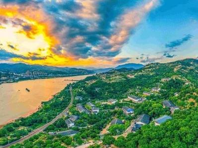 省市县三级政协联合开展“发展林下经济”视察建言活动