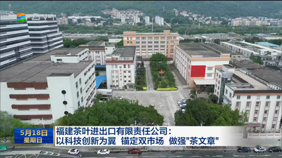 福建茶叶进出口有限责任公司：以科技创新为翼 锚定双市场 做强“茶文章”