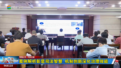 案例解析彰显司法智慧  机制创新深化治理效能