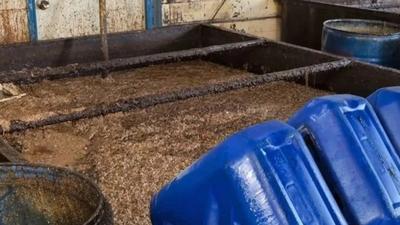 我为群众办实事丨潲水油变“地沟油”？记者暗访两个月揭开内幕，厂房内画面令人作呕......