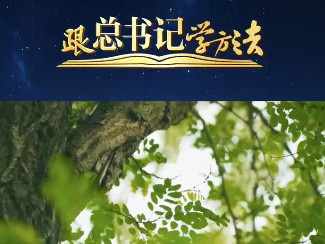 当时保护文物体现不出什么政绩，但他一直做下去了