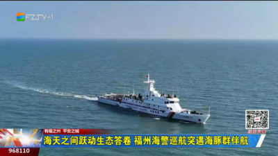 海天之间跃动生态答卷 福州海警巡航突遇海豚群伴航