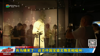 兵马俑来了！近百件国宝级文物亮相福州！