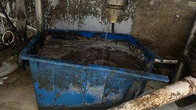 我为群众办实事丨太恶心！福州这家连锁品牌被责令关停整改