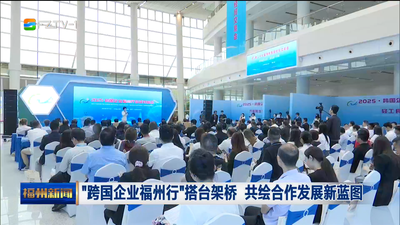 “跨国企业福州行”搭台架桥 共绘合作发展新蓝图