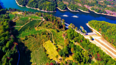 泰宁：景美业兴活力足 村强民富生活美