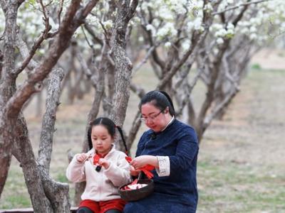 节气与非遗之立夏——医巫闾山满族剪纸