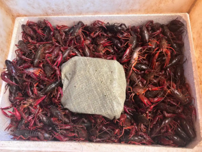 又到一年“吃小龙虾季”！市场监管部门发布提醒