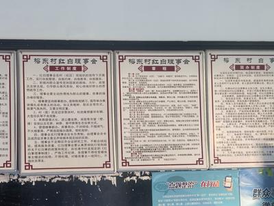 移风易俗在乡村丨红白理事会“小章程” 撬动乡风文明“大变革”