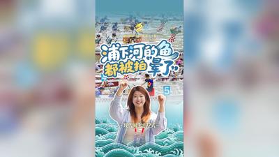 网络中国节·端午丨浦下河的鱼都被拍“晕了”