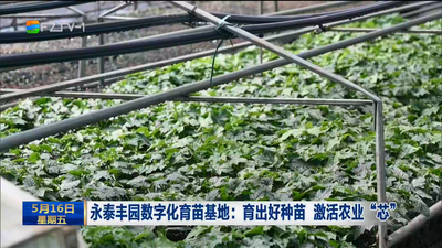 永泰丰园数字化育苗基地：育出好种苗 激活农业“芯”