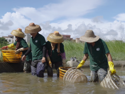 风土雕刻出来的手，是这个季节最美的手