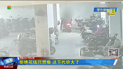 拒绝花钱只想偷 这下代价大了