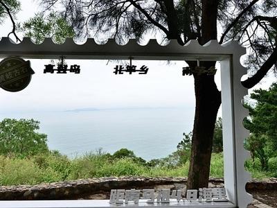 央视新闻关注：福马“同城生活圈”最新政策发布