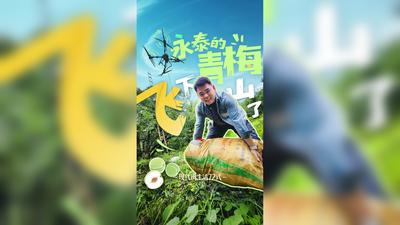 永泰的青梅飞下山了