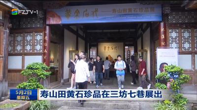 寿山田黄石珍品在三坊七巷展出