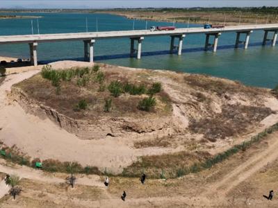 崖沙燕回归 滹沱河湿地生态环境越来越好