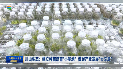 川山生态：建立种苗培育“小基地” 做足产业发展“大文章”