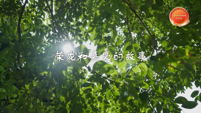 荣龙和嘉豪的故事