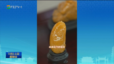 福州城市会客厅邂逅“印石之王” 共赴赏石之旅