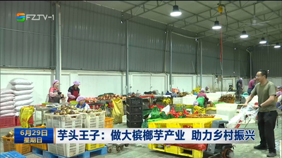 芋头王子：做大槟榔芋产业 助力乡村振兴