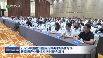 2025中国福州国际招商月罗源县专场 新能源产业链供应链对接会举行