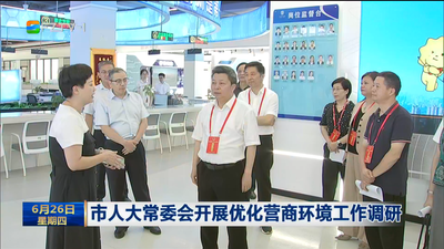 市人大常委会开展优化营商环境工作调研