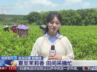 央视新闻关注福州：夏至茉莉香 田间采摘忙